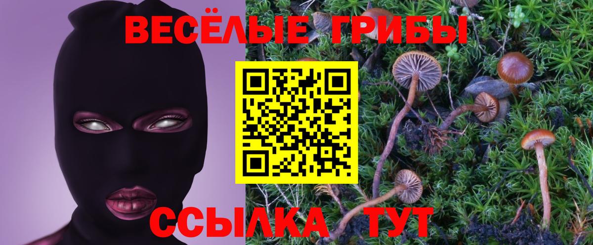 ГАШ  Кокаин  Амфетамин   Меф   ЭКСТАЗИ  Канабис  Зеленогорск  Вход с VPN 