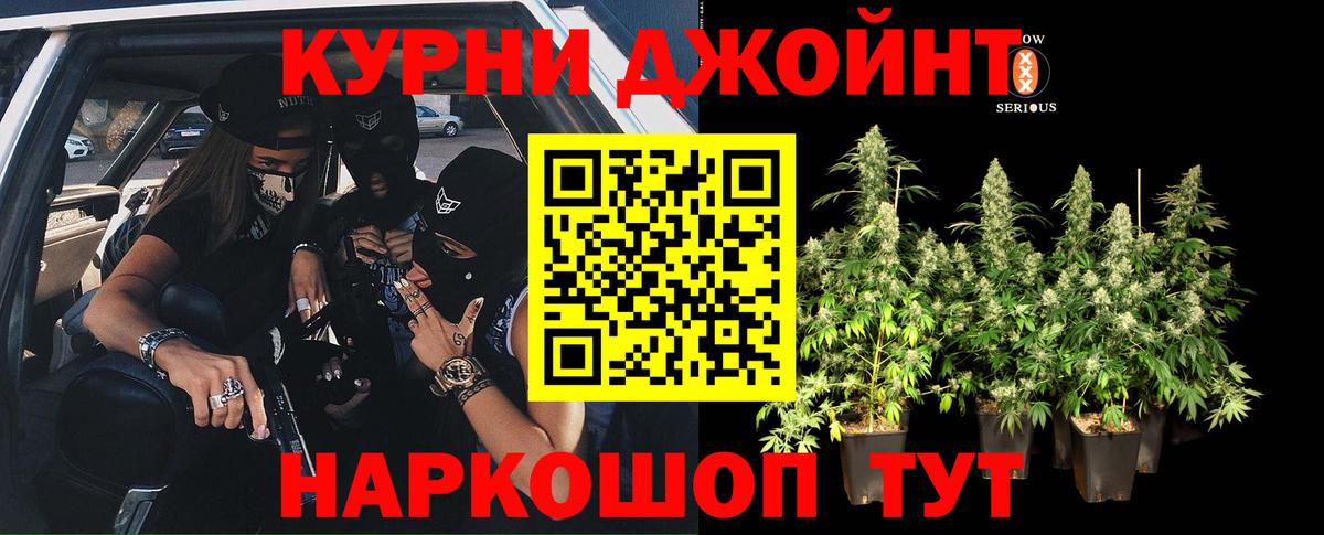 Зеленогорск  Канабис OG Kush  Шишки марихуана Bruce Banner  Бошки марихуана план  Вход с VPN 